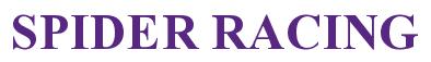 Rendering -SPIDER RACING - using Times New Roman Bold