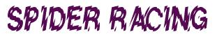 Rendering -SPIDER RACING - using Nervous