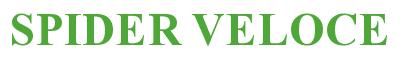 Rendering -SPIDER VELOCE - using Times New Roman Bold