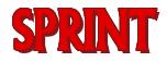 Rendering -SPRINT - using Flair