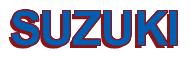 Rendering -SUZUKI - using Arial Bold