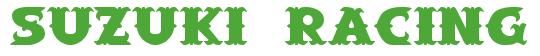 Rendering -SUZUKI RACING - using Saloon