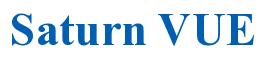 Rendering -Saturn VUE - using Times New Roman Bold