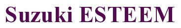 Rendering -Suzuki ESTEEM - using Times New Roman Bold