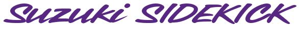 Rendering -Suzuki SIDEKICK - using Chicago Style