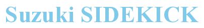 Rendering -Suzuki SIDEKICK - using Times New Roman Bold