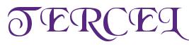 Rendering -TERCEL - using Black Chancery