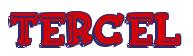 Rendering -TERCEL - using FinkBold