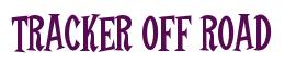 Rendering -TRACKER OFF ROAD - using Cooper Latin