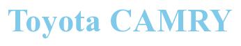 Rendering -Toyota CAMRY - using Times New Roman Bold