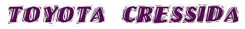 Rendering -Toyota CRESSIDA - using Cut Ragged