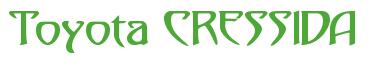 Rendering -Toyota CRESSIDA - using Saga