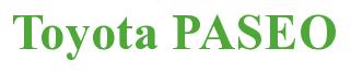 Rendering -Toyota PASEO - using Times New Roman Bold