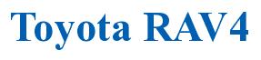 Rendering -Toyota RAV4 - using Times New Roman Bold