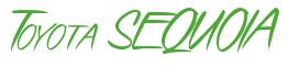Rendering -Toyota SEQUOIA - using Speed Stroke