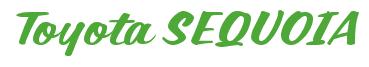 Rendering -Toyota SEQUOIA - using Casual Script