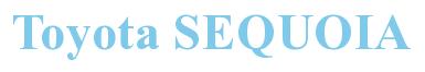 Rendering -Toyota SEQUOIA - using Times New Roman Bold