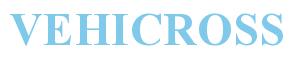 Rendering -VEHICROSS - using Times New Roman Bold