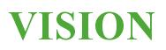 Rendering -VISION - using Times New Roman Bold