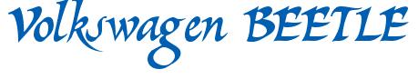 Rendering -Volkswagen BEETLE - using Braveheart