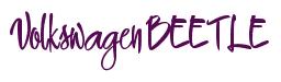 Rendering -Volkswagen BEETLE - using Snappy
