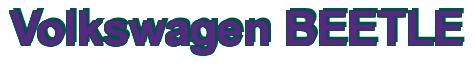 Rendering -Volkswagen BEETLE - using Arial Bold