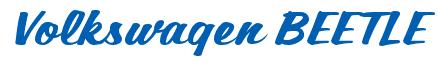 Rendering -Volkswagen BEETLE - using Casual Script
