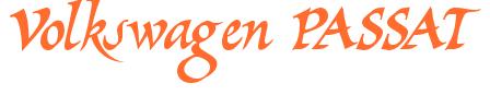 Rendering -Volkswagen PASSAT - using Braveheart