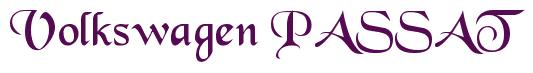 Rendering -Volkswagen PASSAT - using Black Chancery