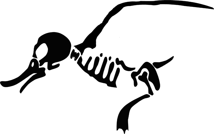 Bone Duck Decal