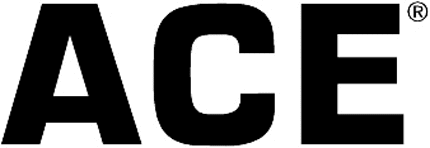 ACE Graphic Logo Decal