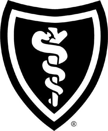 BLUE  SHIELD Graphic Logo Decal