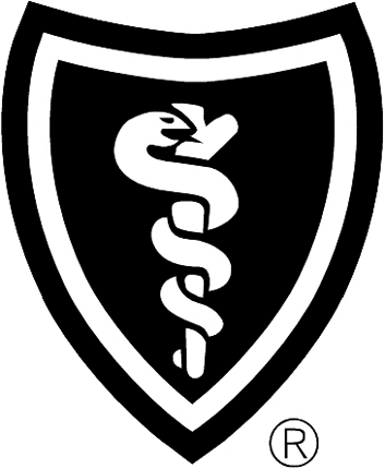 Blue Shield Graphic Logo Decal