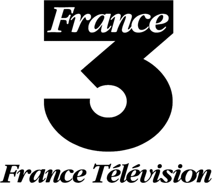 FRANCE TELEVISION 3 Graphic Logo Decal