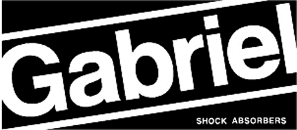 GABRIEL SHOCKS Graphic Logo Decal