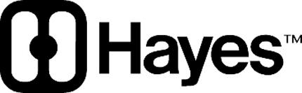 HAYES Graphic Logo Decal