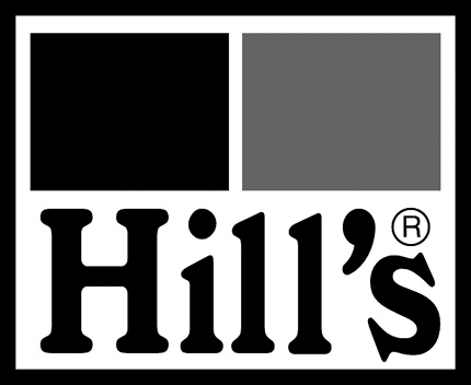 HILLS Graphic Logo Decal