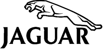 JAGUAR Graphic Logo Decal