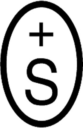 SEV-SWITZERLAND Graphic Logo Decal