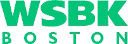 WSKB Graphic Logo Decal