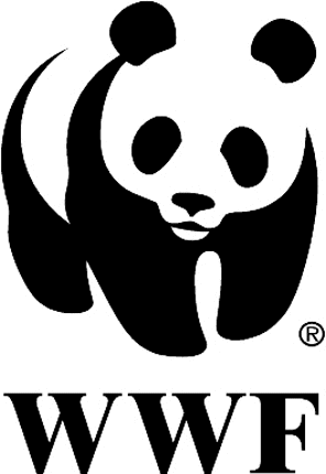 WWF Graphic Logo Decal