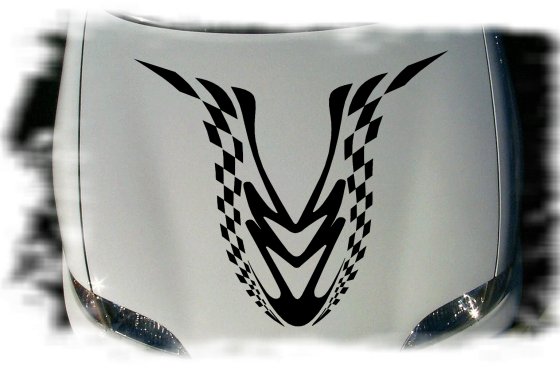 b713 hood graphic