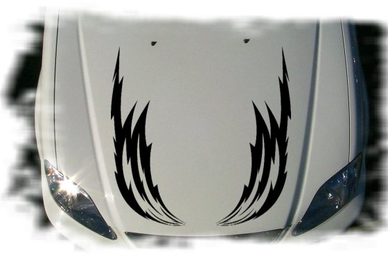 hs0108 hood graphic
