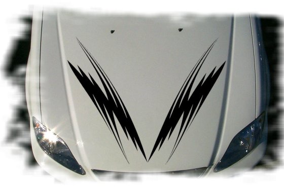 hs074 hood graphic