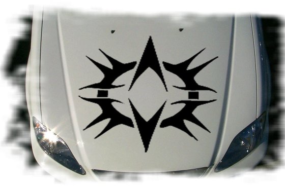 hst037 hood graphic