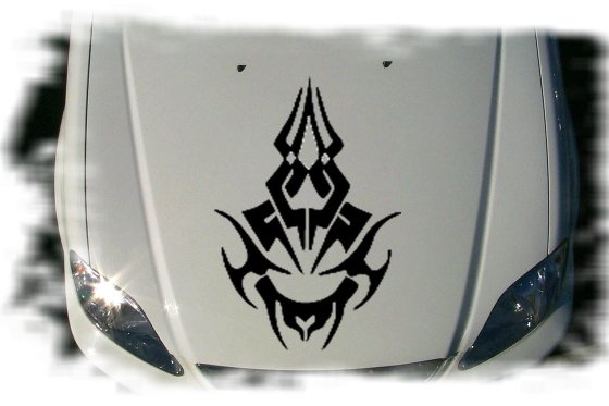 hst307 hood graphic