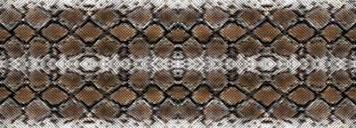 Snake 1 Pattern