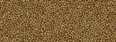 Small Leopard Pattern