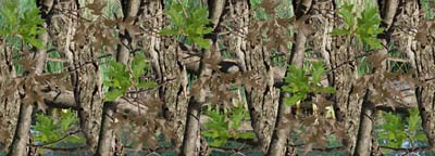 Camouflage Heavy Timber Pattern