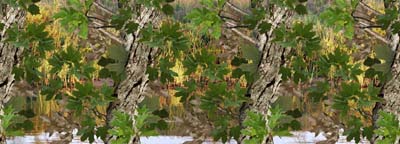 Camouflage Watery Oak Pattern